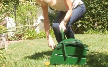 dog poop clean up service