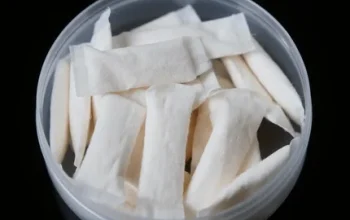nicotine pouches bulk