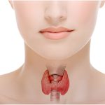 Thyroid Ultrasound Service