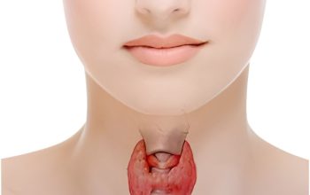 Thyroid Ultrasound Service