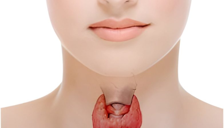 Thyroid Ultrasound Service