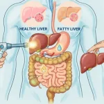 Digestive Changes Often Become Noticeable Through Everyday Habits